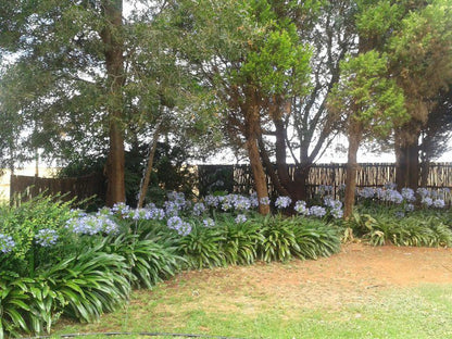 Perdehoek Venue Lichtenburg North West Province South Africa Plant, Nature, Garden