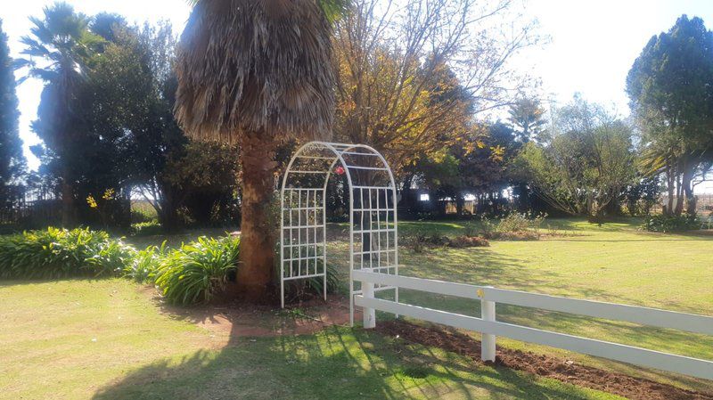 Perdehoek Venue Lichtenburg North West Province South Africa Palm Tree, Plant, Nature, Wood, Garden