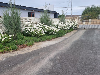 Perlman House Sutherland Northern Cape South Africa House, Building, Architecture, Plant, Nature, Garden, Street