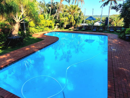 Perna Perna St Lucia St Lucia Kwazulu Natal South Africa Complementary Colors, Palm Tree, Plant, Nature, Wood, Swimming Pool