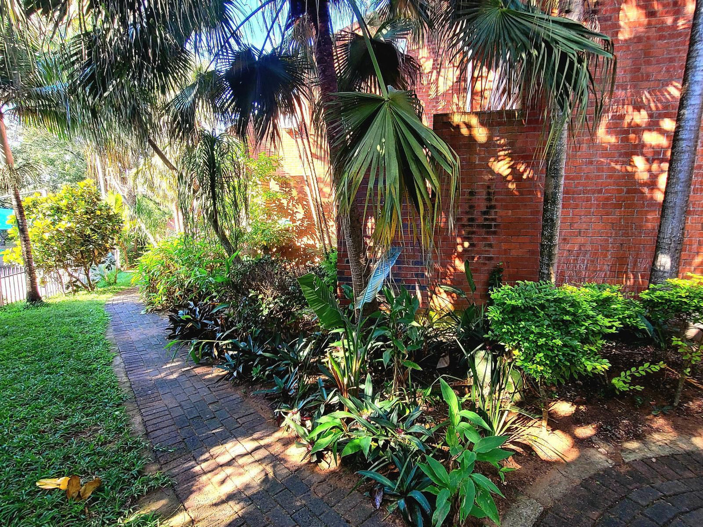 Perna Perna St Lucia St Lucia Kwazulu Natal South Africa Palm Tree, Plant, Nature, Wood, Garden