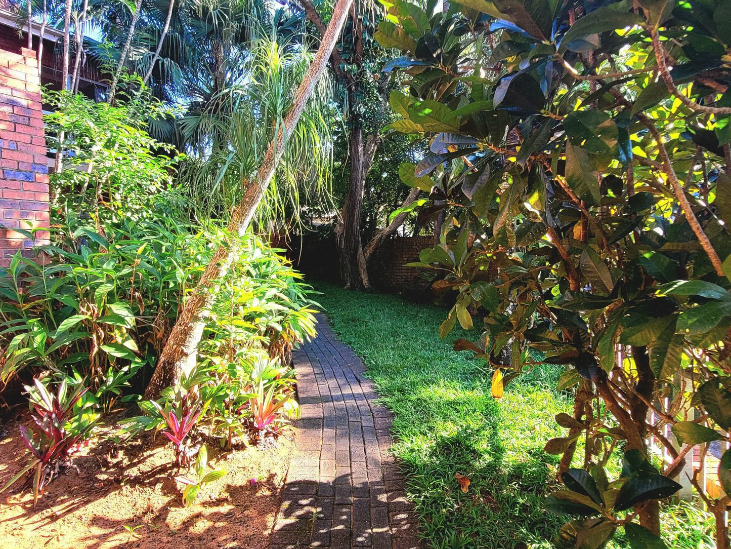 Perna Perna St Lucia St Lucia Kwazulu Natal South Africa Palm Tree, Plant, Nature, Wood, Garden