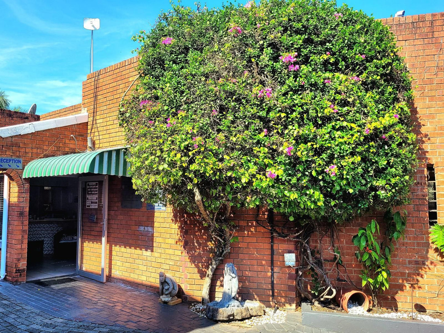 Perna Perna St Lucia St Lucia Kwazulu Natal South Africa House, Building, Architecture, Plant, Nature