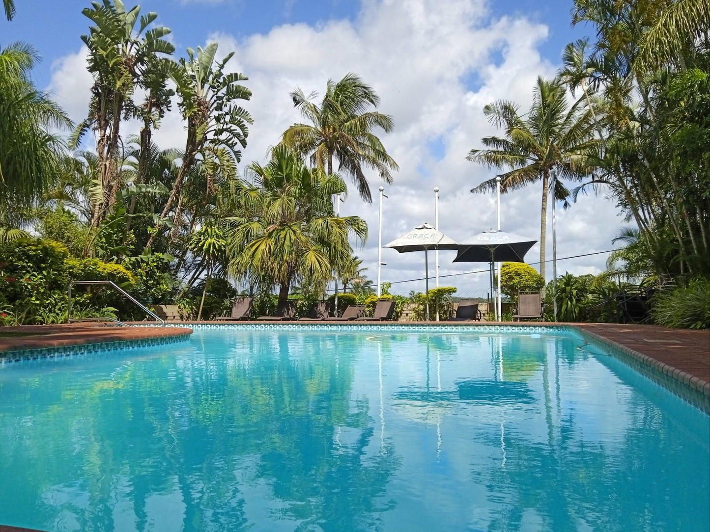 Perna Perna St Lucia St Lucia Kwazulu Natal South Africa Complementary Colors, Palm Tree, Plant, Nature, Wood, Swimming Pool