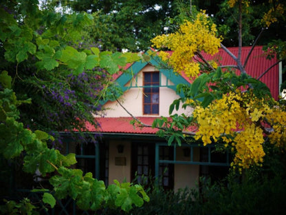 Petal Faire Cottage Colbyn Pretoria Tshwane Gauteng South Africa Building, Architecture, House, Plant, Nature, Window