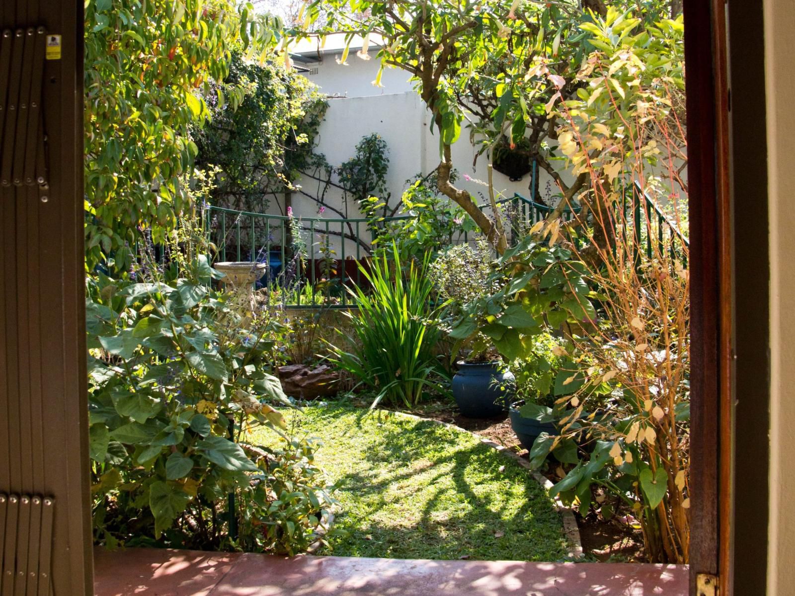 Petal Faire Cottage Colbyn Pretoria Tshwane Gauteng South Africa House, Building, Architecture, Palm Tree, Plant, Nature, Wood, Garden