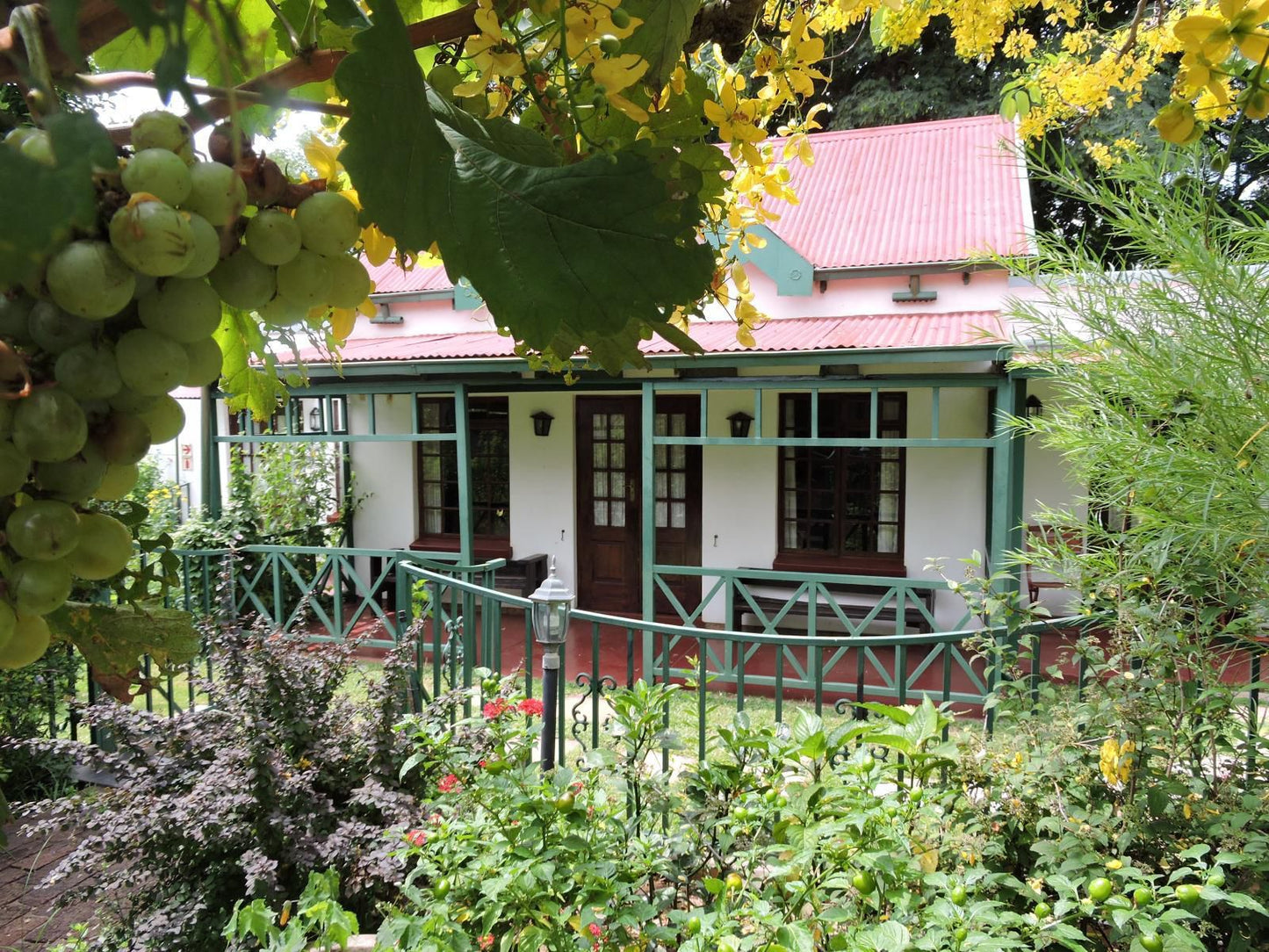 Petal Faire Cottage Colbyn Pretoria Tshwane Gauteng South Africa Building, Architecture, House, Window