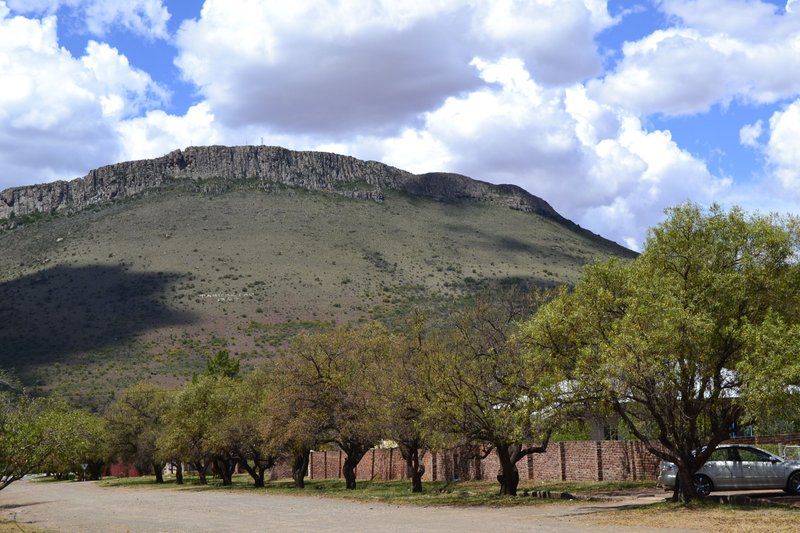 Peter S Place Tarkastad Eastern Cape South Africa Complementary Colors, Nature