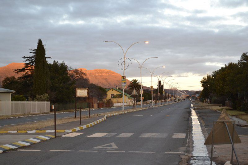 Peter S Place Tarkastad Eastern Cape South Africa Palm Tree, Plant, Nature, Wood, Street