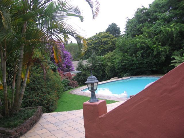 Petla S Place Westville Durban Kwazulu Natal South Africa Palm Tree, Plant, Nature, Wood, Garden, Swimming Pool