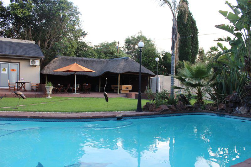 Petra Guest House Edenvale Johannesburg Gauteng South Africa Palm Tree, Plant, Nature, Wood, Swimming Pool