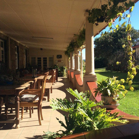 Petra S Country Guesthouse Vryheid Kwazulu Natal South Africa House, Building, Architecture, Palm Tree, Plant, Nature, Wood, Garden, Living Room