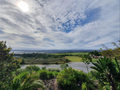 Pezula Nature Retreat, Sky Panoramic Extra Large Suite, Beach, Nature, Sand, Palm Tree, Plant, Wood