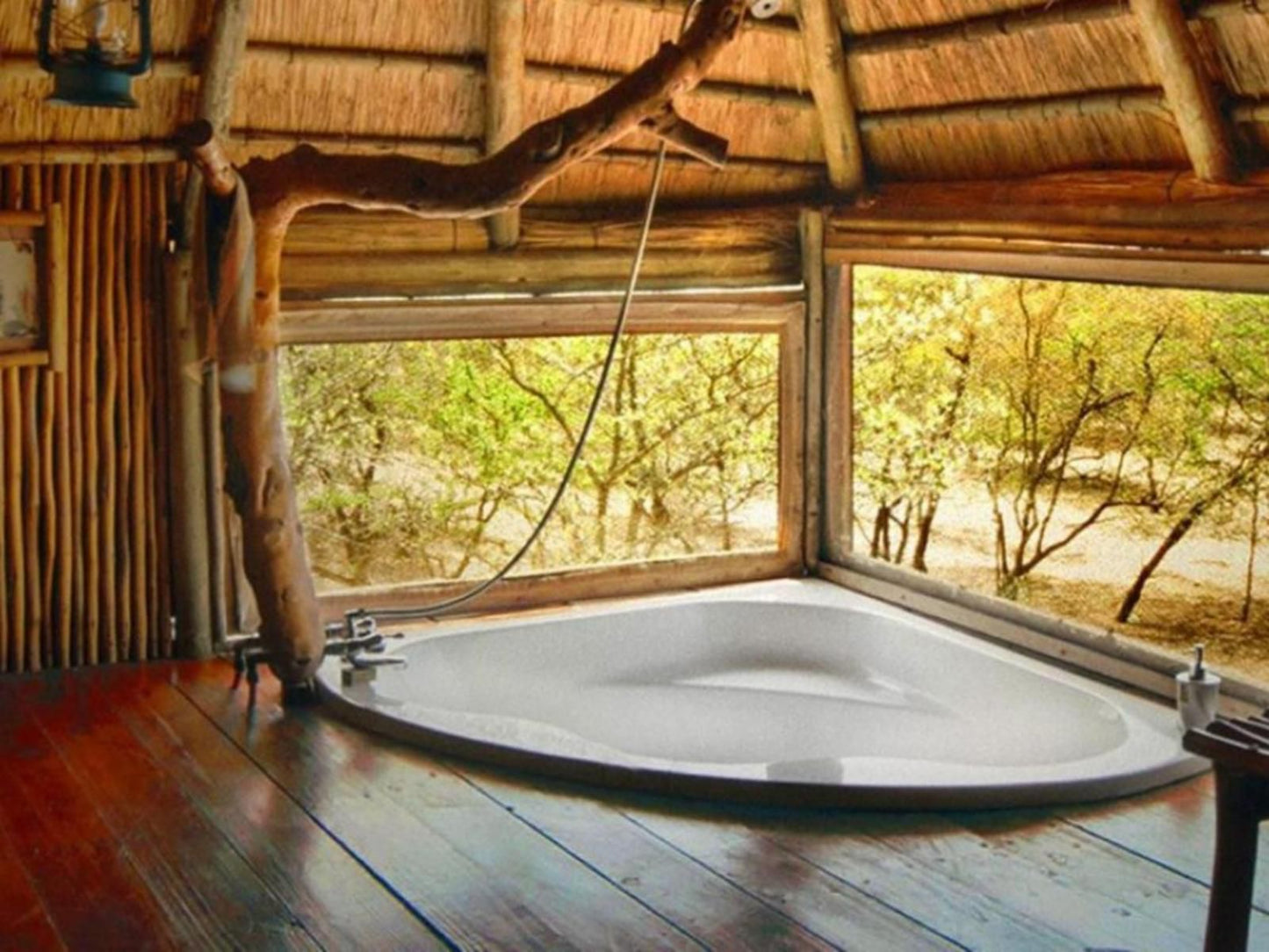 Pezulu Tree House Lodge, Sauna, Wood