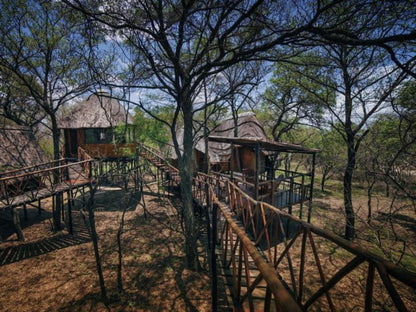 Pezulu Tree House Lodge, Knobthorn (Superior Family Tree House)