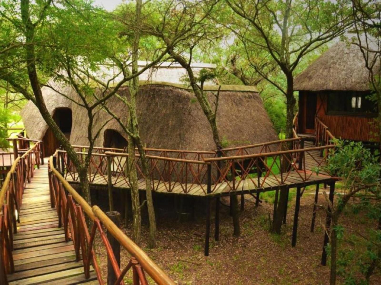 Pezulu Tree House Lodge, Teak 2 (Standard Family Tree House)