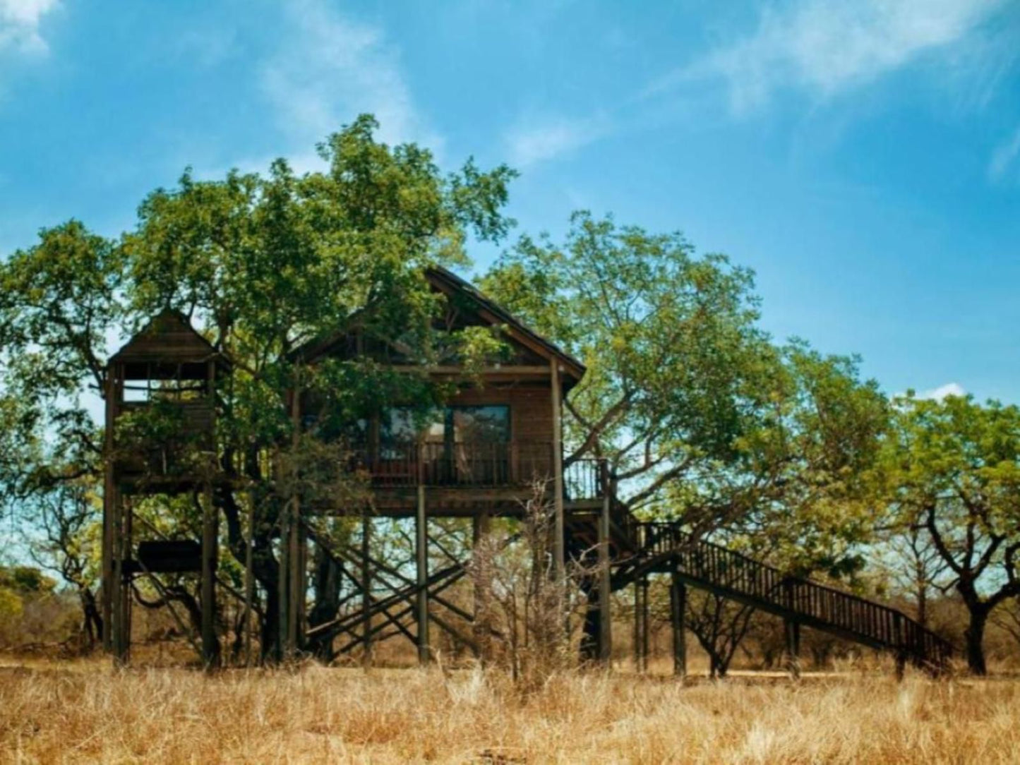 Pezulu Tree House Game Lodge Hoedspruit Limpopo Province South Africa Complementary Colors