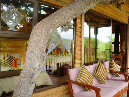 Pezulu Tree House Game Lodge Hoedspruit Limpopo Province South Africa 