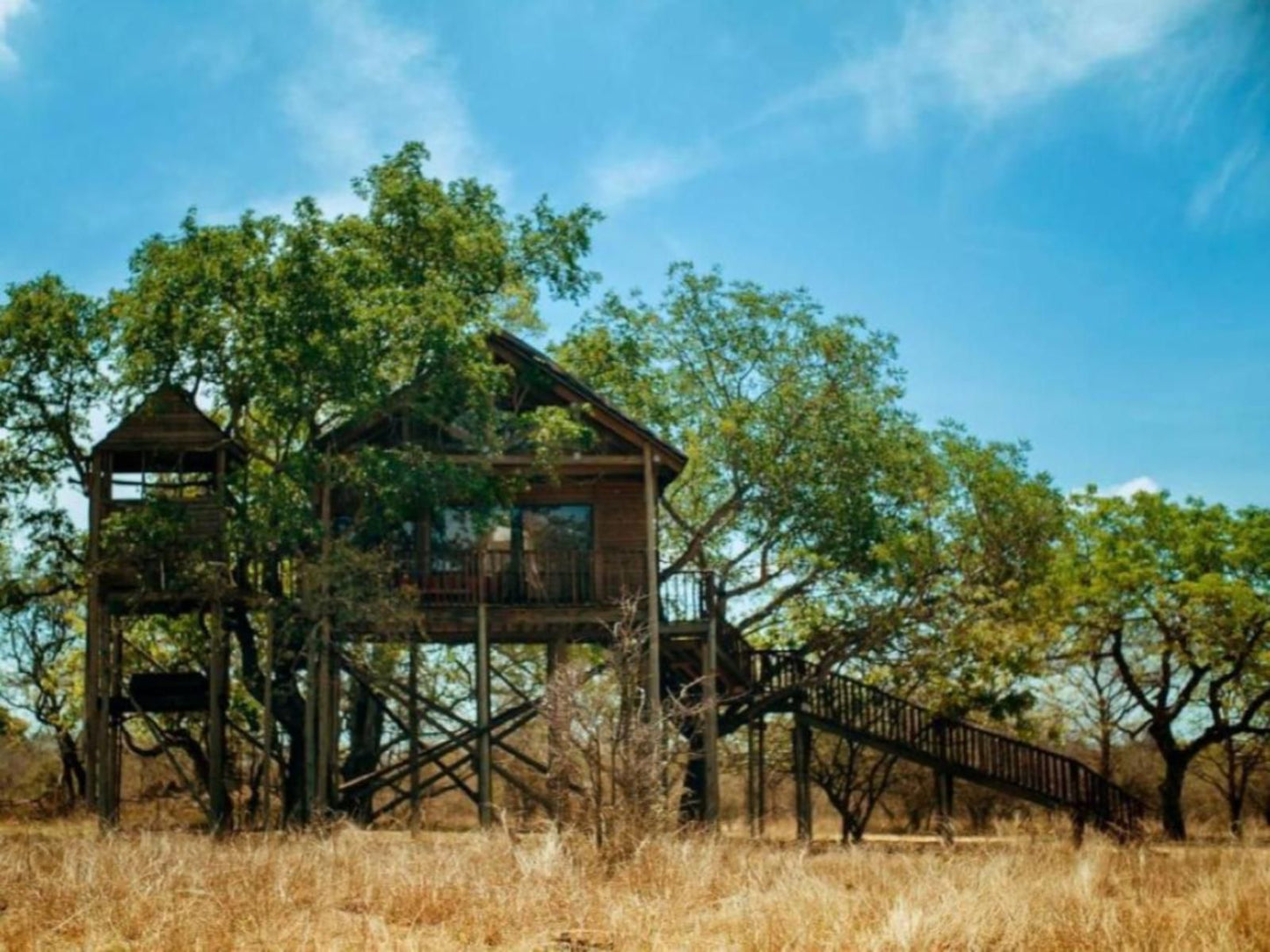 Pezulu Tree House Game Lodge Hoedspruit Limpopo Province South Africa Complementary Colors