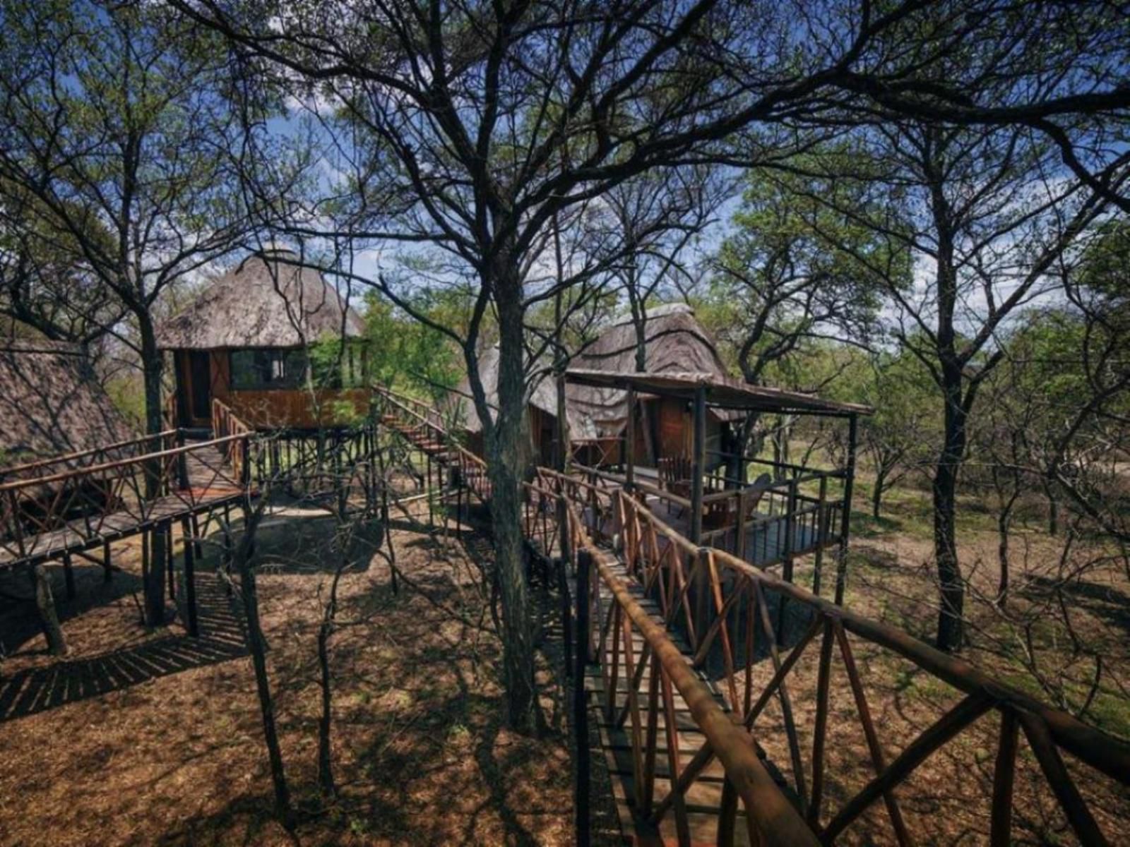 Pezulu Tree House Game Lodge Hoedspruit Limpopo Province South Africa 