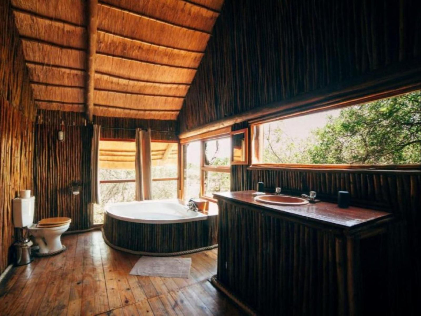 Pezulu Tree House Game Lodge Hoedspruit Limpopo Province South Africa 