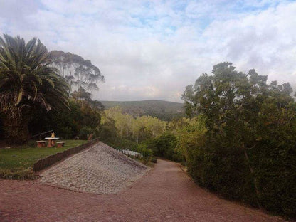 Phantom Croft Lodge Brandwacht Western Cape South Africa Palm Tree, Plant, Nature, Wood