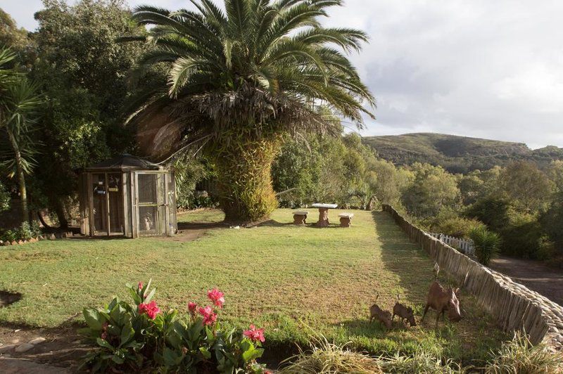 Phantom Croft Lodge Brandwacht Western Cape South Africa Palm Tree, Plant, Nature, Wood, Garden