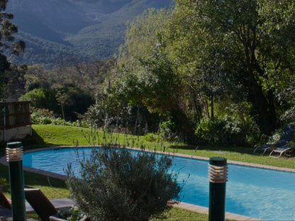 Phantom Acres Hout Bay Cape Town Western Cape South Africa Garden, Nature, Plant, Swimming Pool