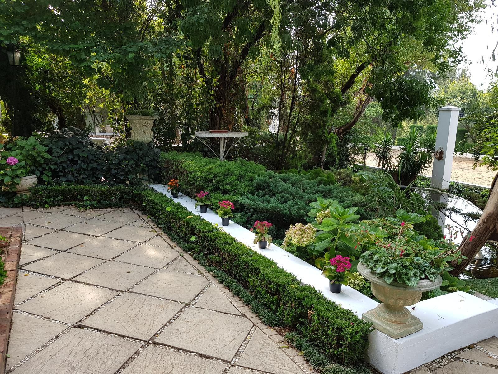 Pheasant Hill Guest House Irene Centurion Gauteng South Africa Plant, Nature, Garden