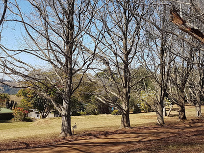 Phezulu Safari Park Bothas Hill Durban Kwazulu Natal South Africa Plant, Nature, Tree, Wood