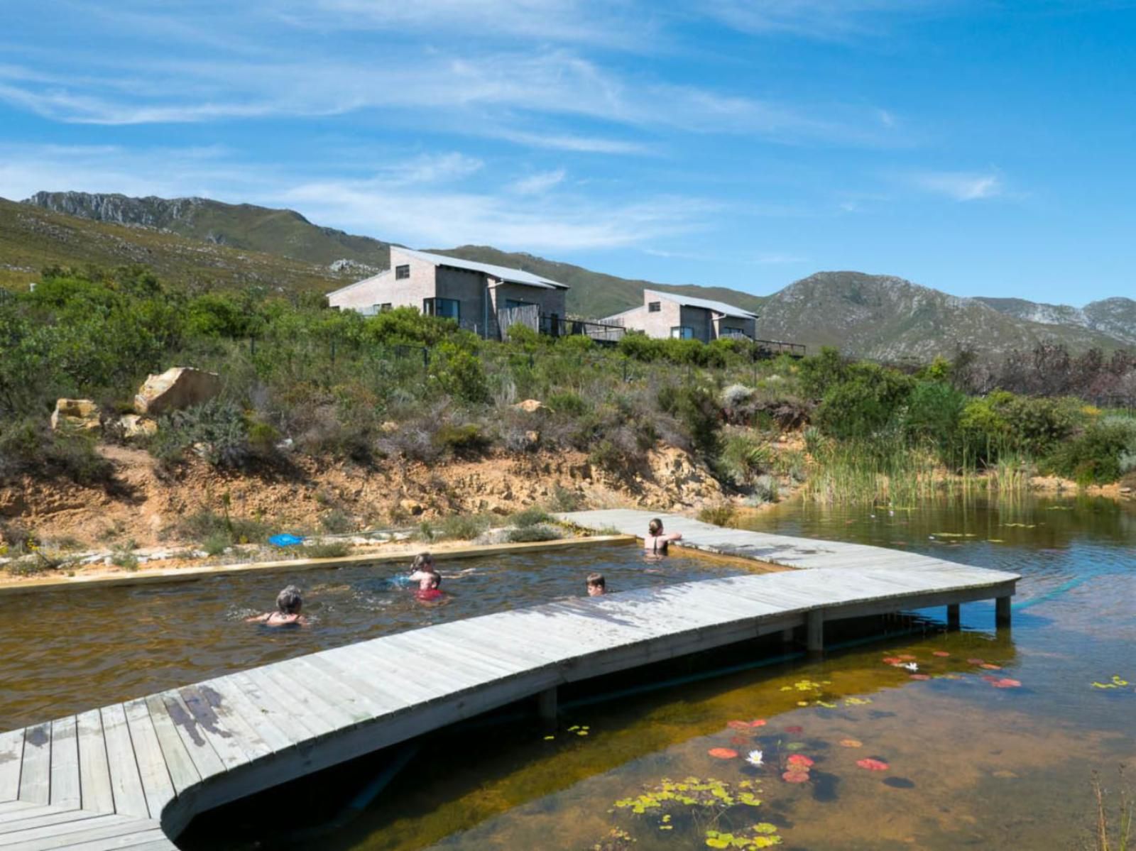 Phillipskop Mountain Reserve Stanford Western Cape South Africa Complementary Colors, Swimming Pool