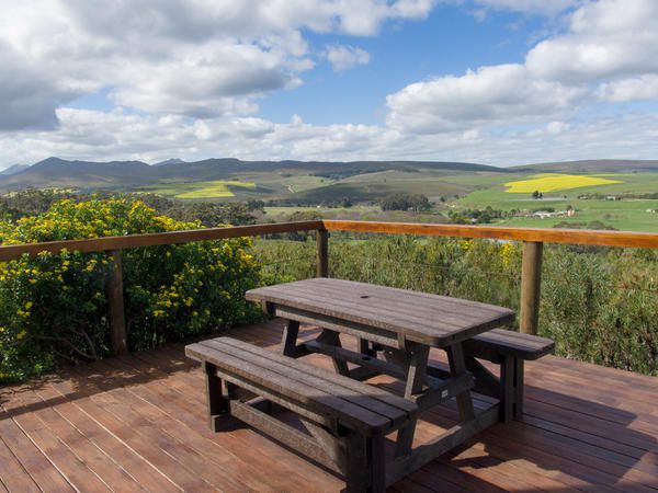 Phillipskop Mountain Reserve Stanford Western Cape South Africa Complementary Colors, Nature