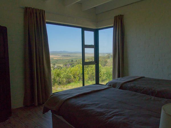 Phillipskop Mountain Reserve Stanford Western Cape South Africa Window, Architecture, Bedroom, Framing, Highland, Nature