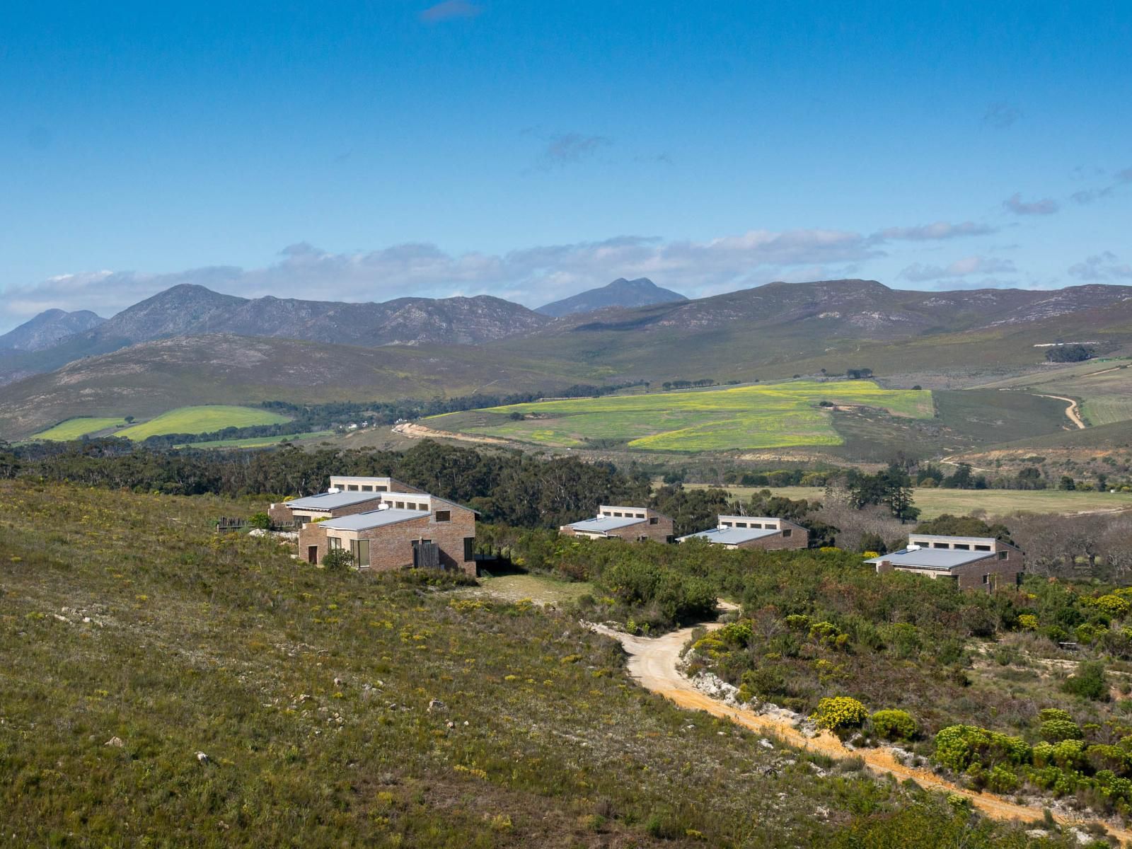 Phillipskop Mountain Reserve Stanford Western Cape South Africa Complementary Colors, Mountain, Nature, Highland