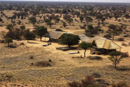 Phirima Game Ranch Tshabong Kgalagadi District Botswana Desert, Nature, Sand, Lowland