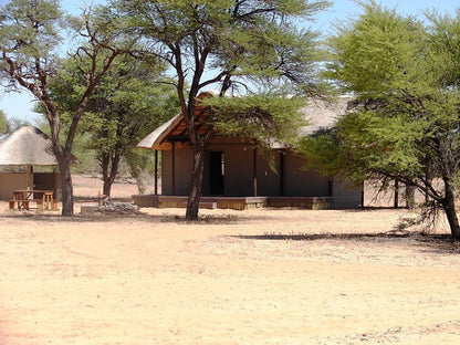 Phirima Game Ranch Tshabong Kgalagadi District Botswana Desert, Nature, Sand