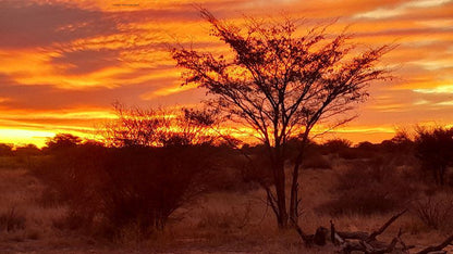 Phirima Game Ranch Tshabong Kgalagadi District Botswana Colorful, Sky, Nature, Sunset