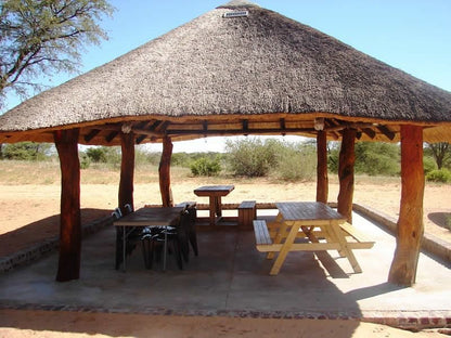 Phirima Game Ranch Tshabong Kgalagadi District Botswana Desert, Nature, Sand