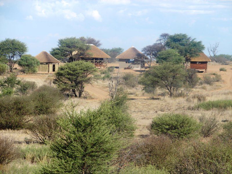 Phirima Game Ranch Tshabong Kgalagadi District Botswana Complementary Colors