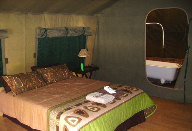 Phokoje Game Lodge Groot Marico North West Province South Africa Tent, Architecture, Bedroom