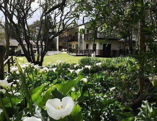 Phumula Country Manor Colleen Glen Port Elizabeth Eastern Cape South Africa House, Building, Architecture, Plant, Nature, Garden