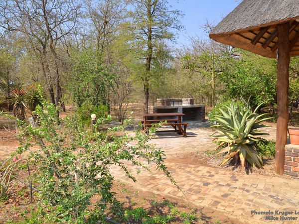 Phumula Kruger Lodge And Safaris Marloth Park Mpumalanga South Africa Plant, Nature, Garden