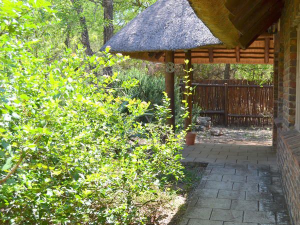 Phumula Kruger Lodge And Safaris Marloth Park Mpumalanga South Africa Tree, Plant, Nature, Wood, Garden