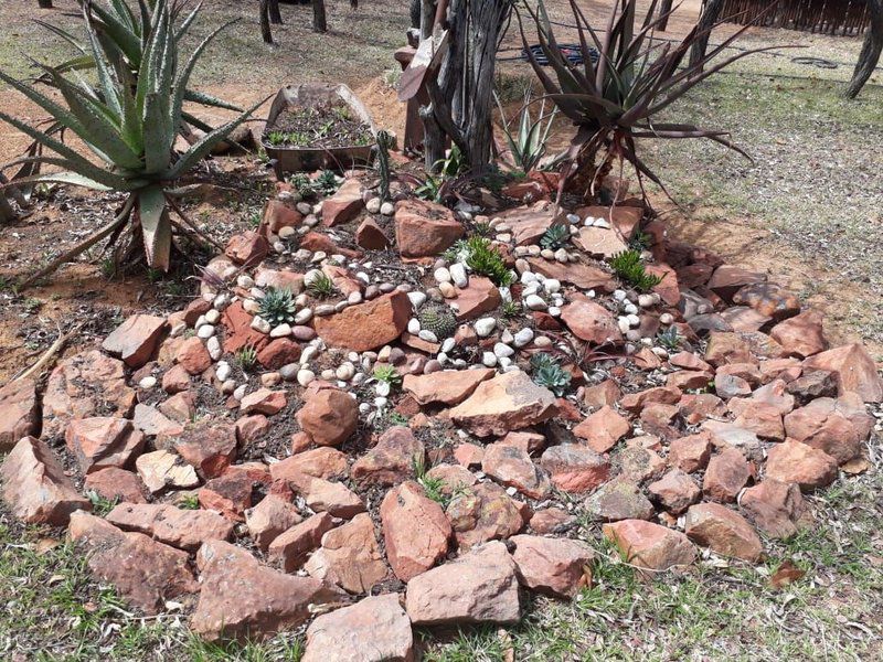 Phumuza Bush Lodge Bela Bela Warmbaths Limpopo Province South Africa Cactus, Plant, Nature, Brick Texture, Texture