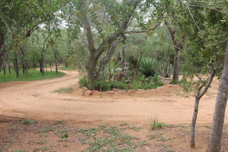 Phumuza Bush Lodge Bela Bela Warmbaths Limpopo Province South Africa Plant, Nature