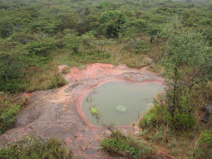 Phumuza Bush Lodge Bela Bela Warmbaths Limpopo Province South Africa Reptile, Animal, River, Nature, Waters, Volcano, Mountain