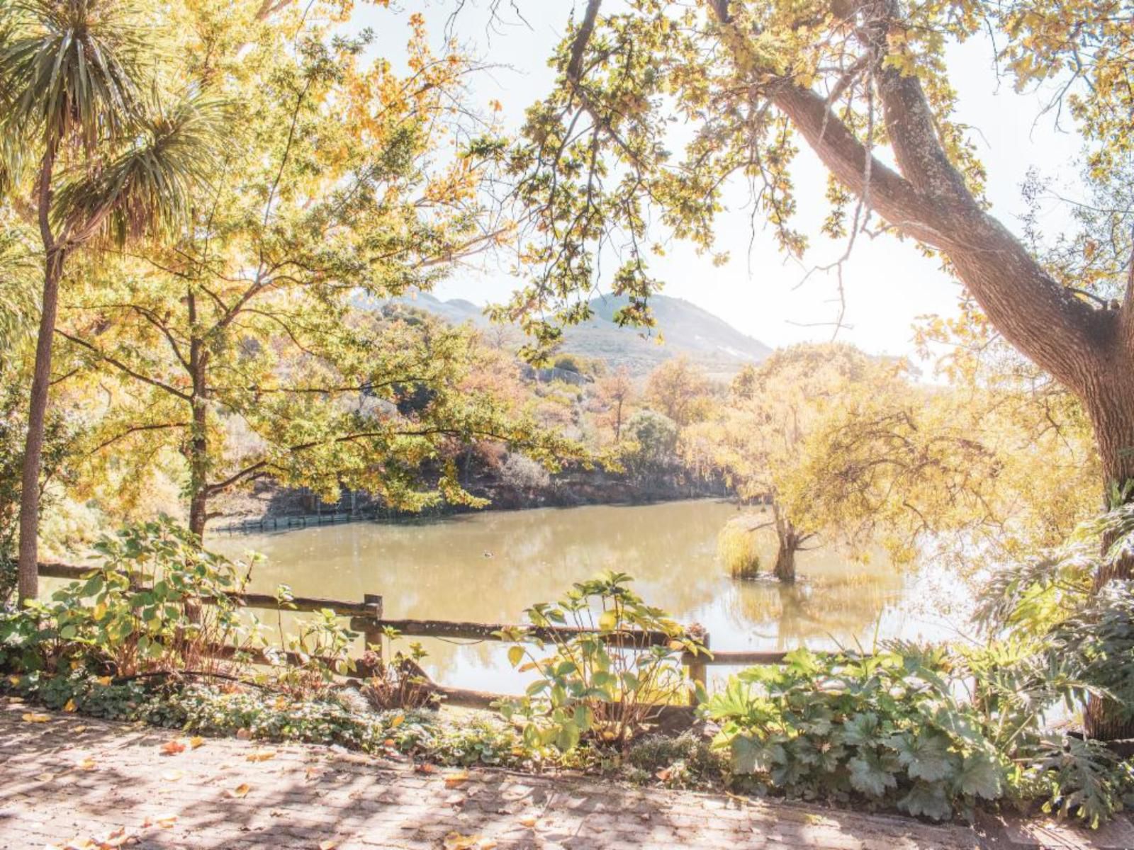 Picardie Guest Farm Paarl Western Cape South Africa Boat, Vehicle, Bridge, Architecture, River, Nature, Waters, Tree, Plant, Wood, Autumn