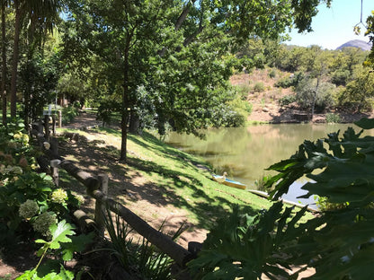 Picardie Guest Farm Paarl Western Cape South Africa River, Nature, Waters, Tree, Plant, Wood