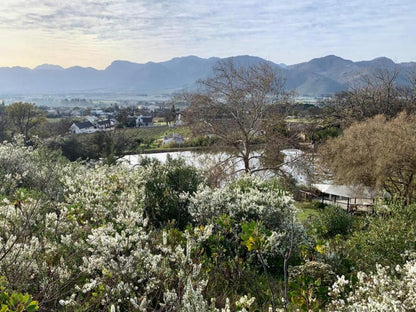 Picardie Guest Farm Paarl Western Cape South Africa Blossom, Plant, Nature, Garden