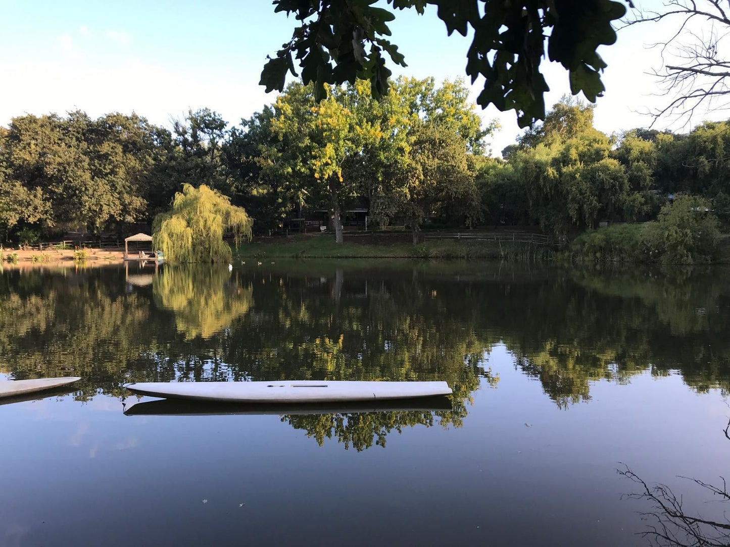 Picardie Guest Farm Paarl Western Cape South Africa River, Nature, Waters, Tree, Plant, Wood